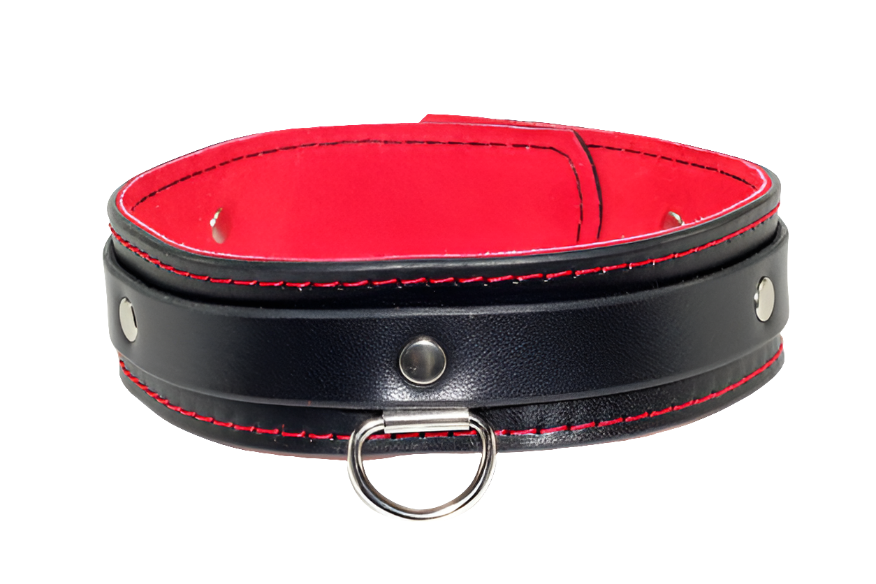 Black and Red Suede and Leather BDSM Collar