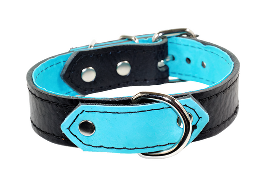 Black Leather and Teal Suede BDSM Collar